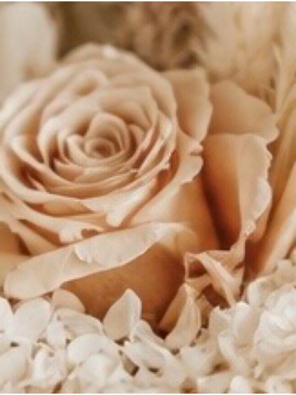 Home Accents Neutral Dried Floral Bouquet in Beige and Cream arrangement